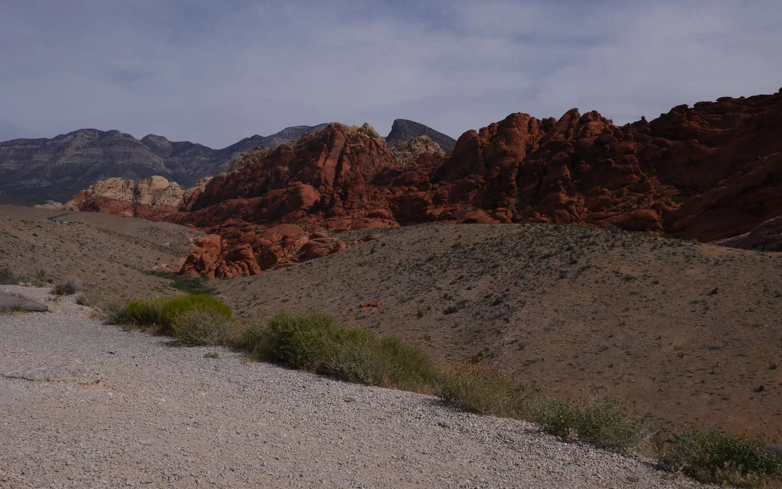 Red rock canyon walls with layered colors and geological formations